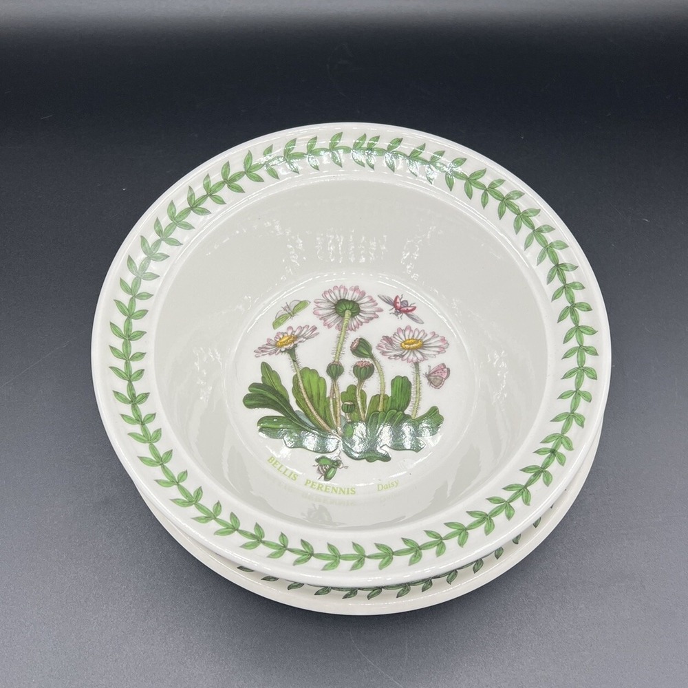 Portmeirion Botanic Garden Bowl & Plate 6.5" Soup Cereal Daisy - Set Of 2